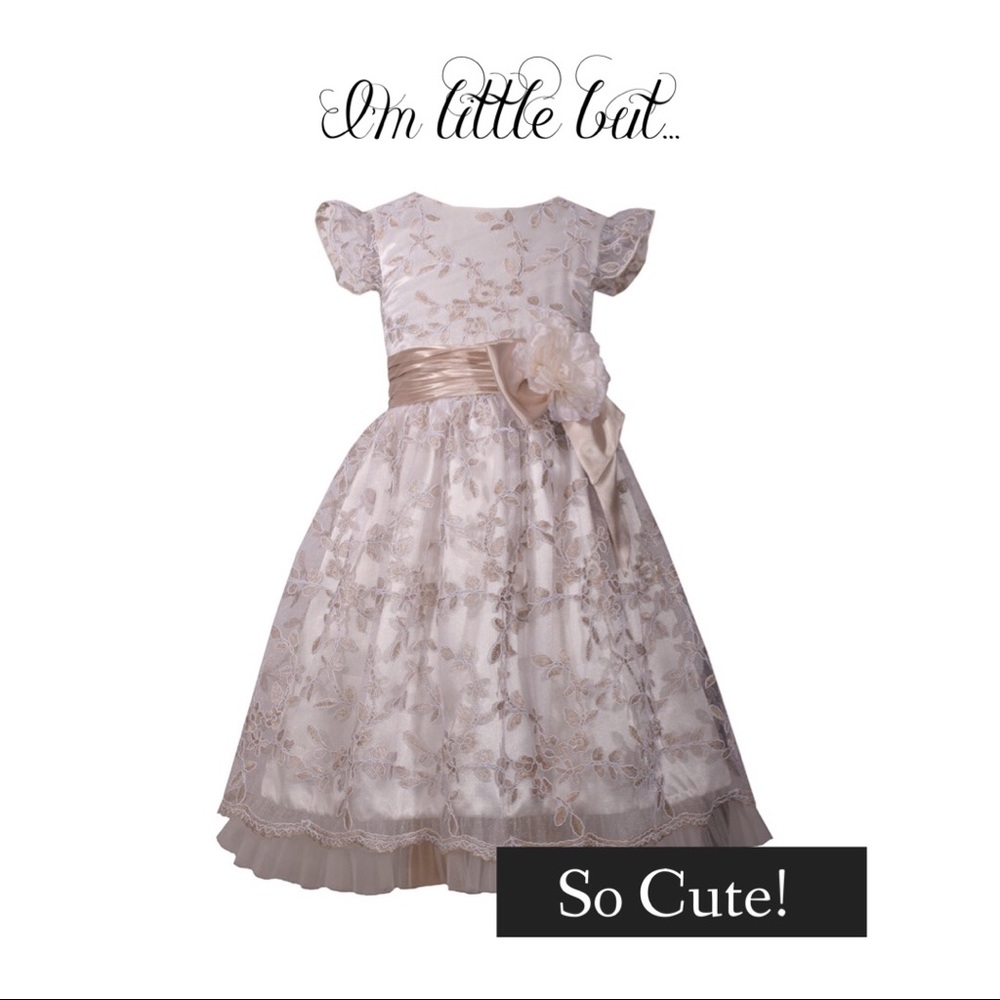 Embroidered dress w/satin waistband, bow & flower.